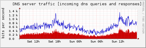 DNS server traffic [incoming dns queries and responses] 