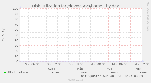 Disk utilization for /dev/octavo/home